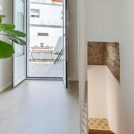 Erizo 3 Loft Diafano En El Centro Historico * تريفة
