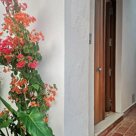 Appartement Erizo 3 Loft Diafano En El Centro Historico