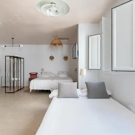 Erizo 3 Loft Diafáno En El Centro Histórico